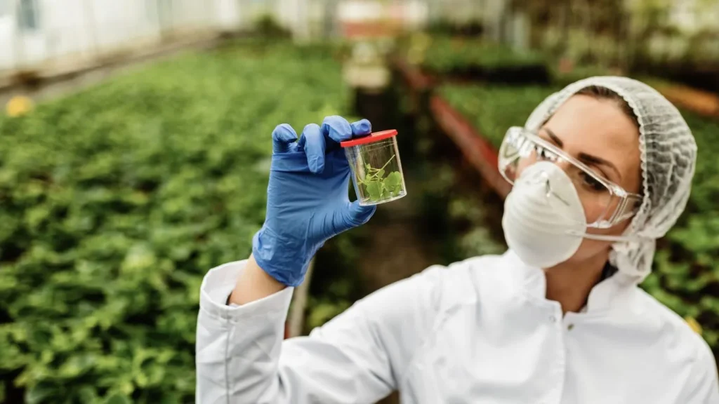 La certificazione biologica: come ottenerla