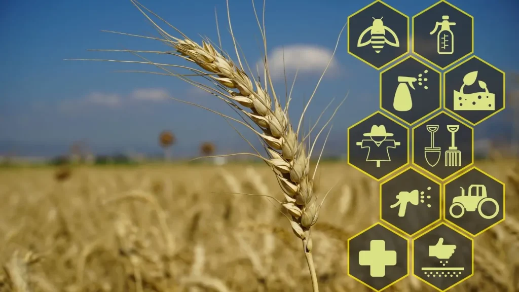 Certificazione RGN e agricoltura rigenerativa