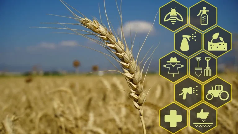 Certificazione RGN e agricoltura rigenerativa