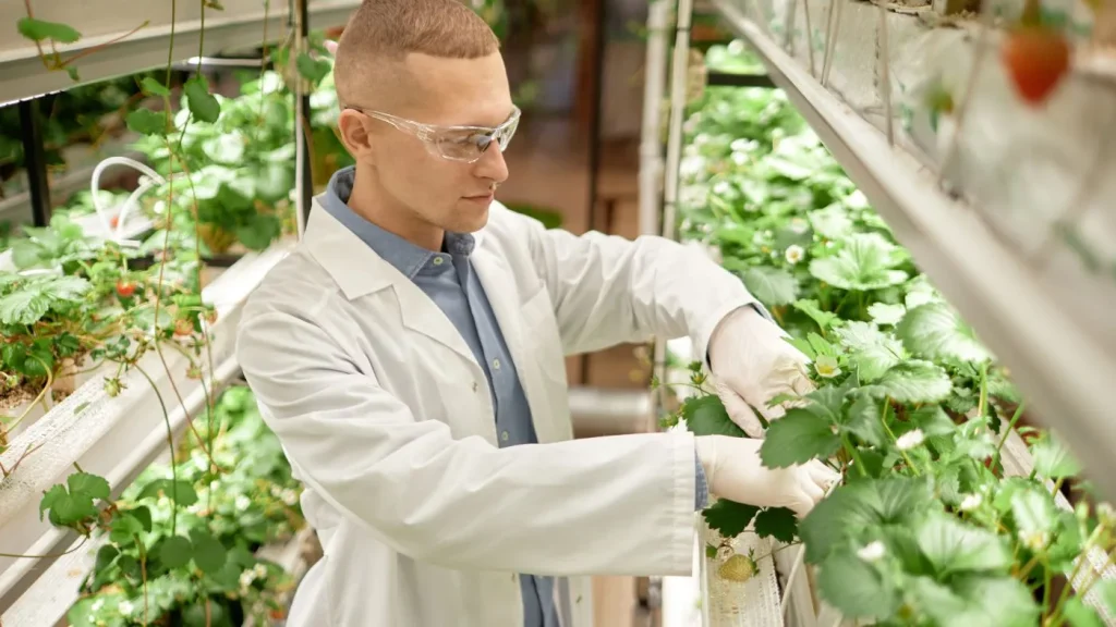 Global Gap v6 novità per il settore ortofrutticolo e acquacoltura