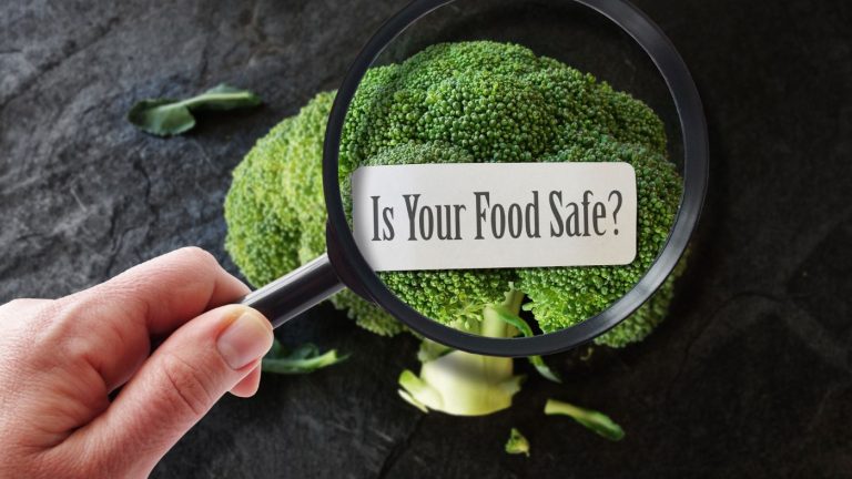 IFS Food Standard: guida completa