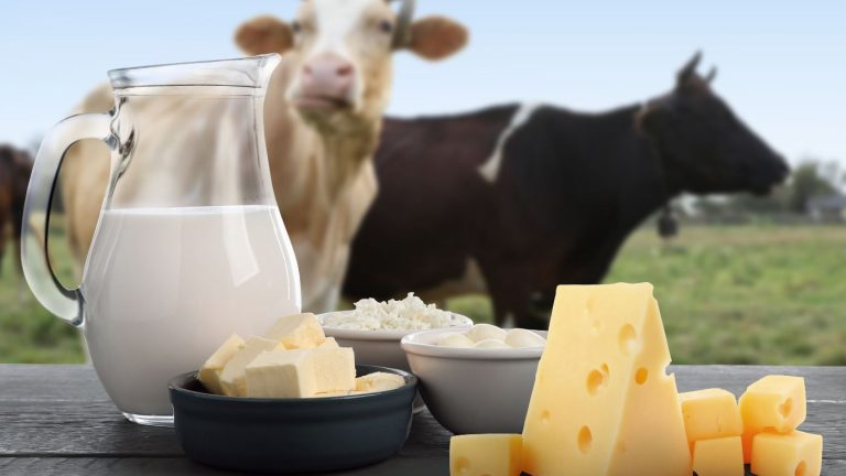 Zoonosi in UE: i numeri 2024 e cosa cambiano per qualità, audit e filiera agroalimentare