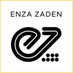 Enza Zaden