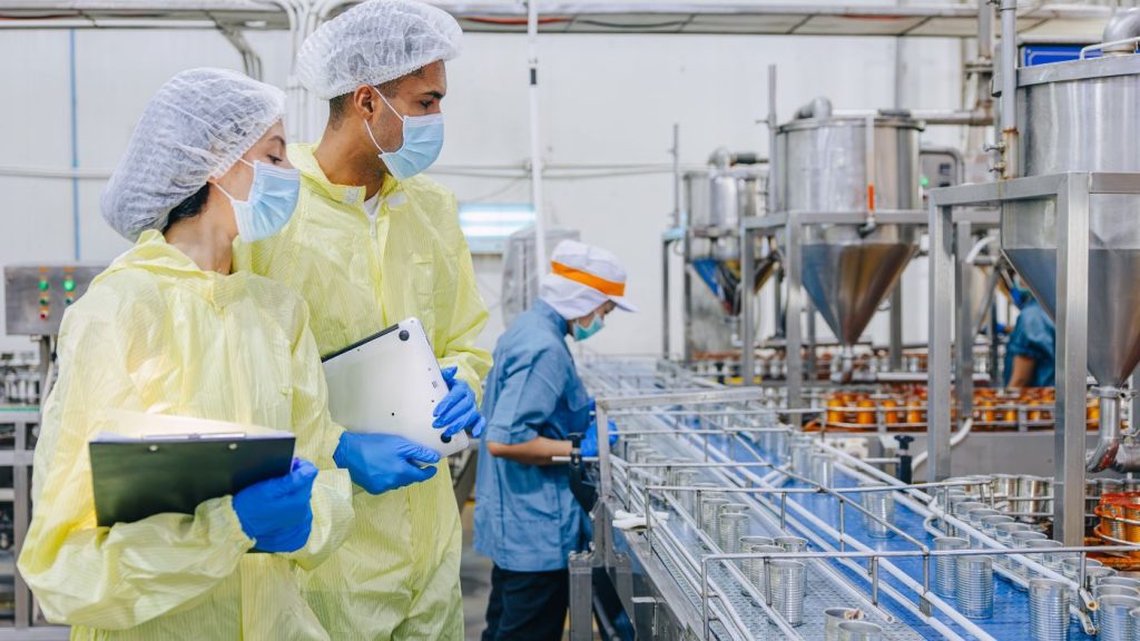 ISO 22000 a cosa serve