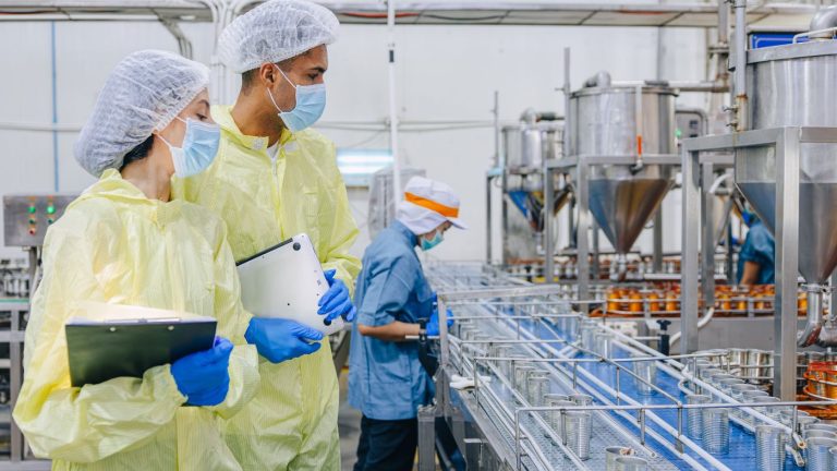 ISO 22000 a cosa serve