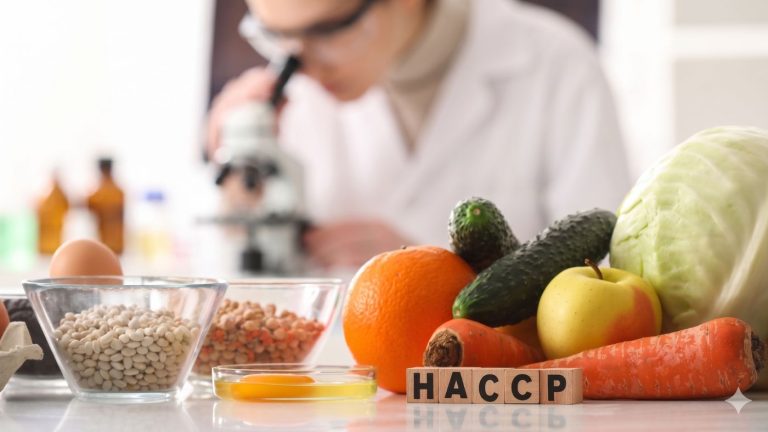 sistema HACCP guida completa